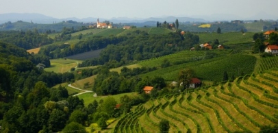 OD VINOGRADOV DO POMURSKE RAVNICE